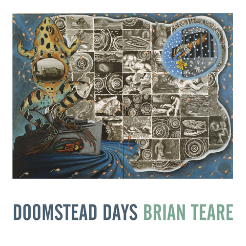 Doomstead Days -  Brian Teare