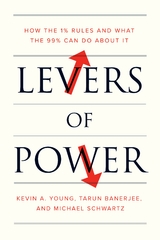 Levers of Power - Michael Schwartz, Tarun Banerjee, Kevin A. Young