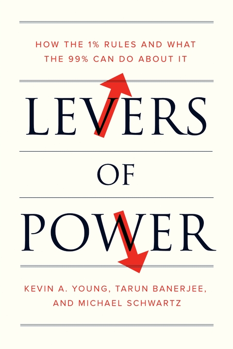 Levers of Power - Michael Schwartz, Tarun Banerjee, Kevin A. Young