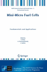 Mini-Micro Fuel Cells - 