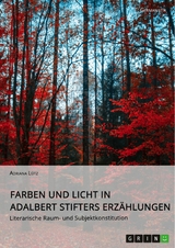 Farben und Licht in Adalbert Stifters Erzählungen. Literarische Raum- und Subjektkonstitution - Adriana Lütz