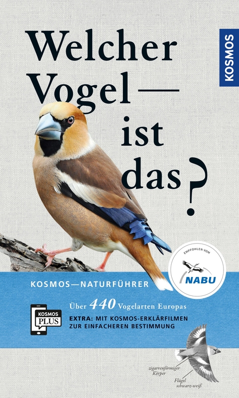 Welcher Vogel ist das? - Volker Dierschke