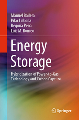 Energy Storage - Manuel Bailera, Pilar Lisbona, Begoña Peña, Luis M. Romeo