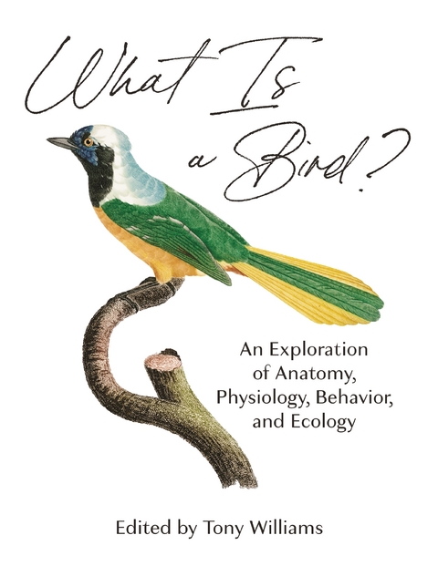 What Is a Bird? - 