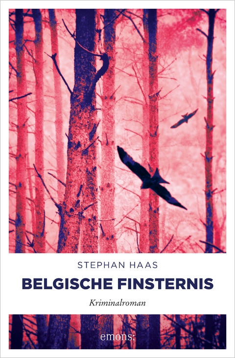 Belgische Finsternis - Stephan Haas