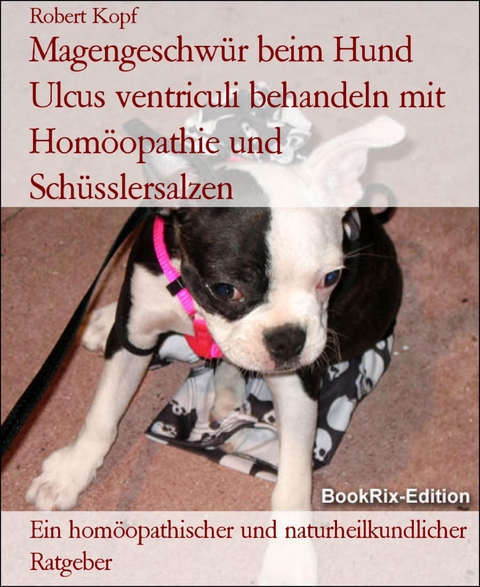 Magengeschwür beim Hund Ulcus ventriculi behandeln mit Homöopathie und Schüsslersalzen - Robert Kopf