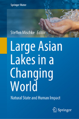 Large Asian Lakes in a Changing World - 