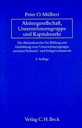 Aktiengesellschaft, Unternehmensgruppe und Kapitalmarkt