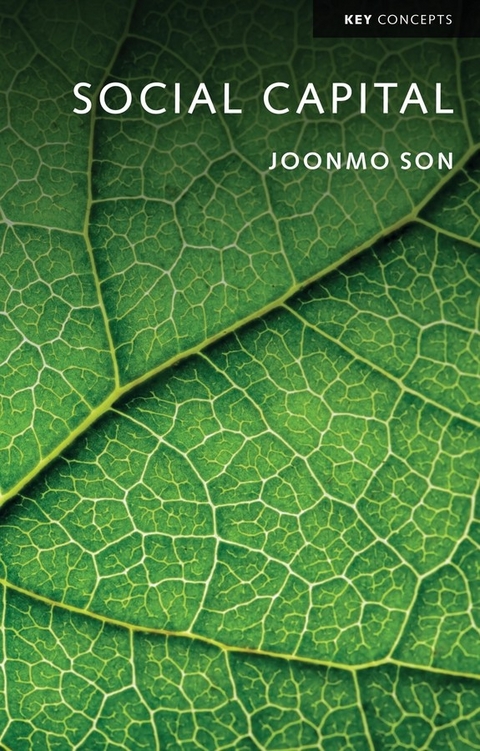 Social Capital -  Joonmo Son