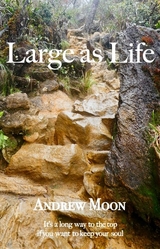 Large As Life - Andrew Moon
