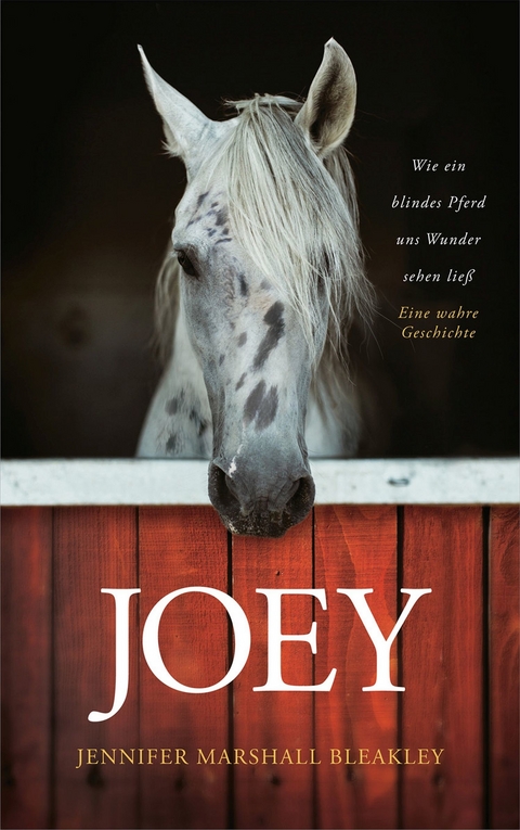 Joey - Wie ein blindes Pferd uns Wunder sehen ließ -  Jennifer Marshall Bleakley