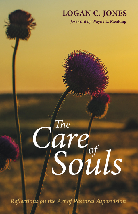 The Care of Souls - Logan C. Jones