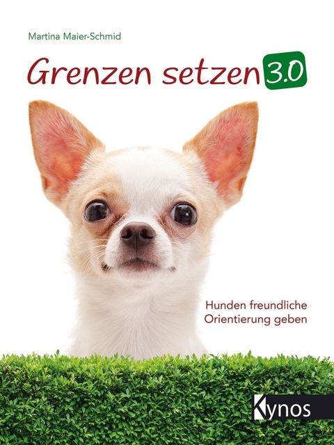 Grenzen setzen 3.0 - Martina Maier-Schmid