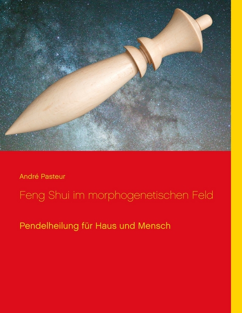 Feng Shui im morphogenetischen Feld - André Pasteur