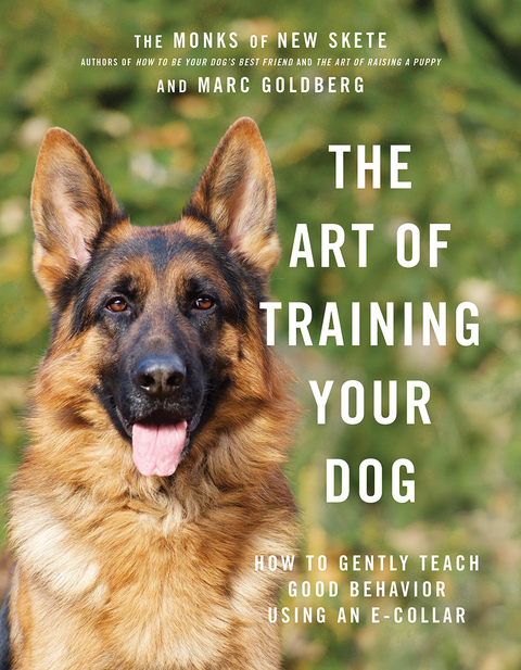 Art of Training Your Dog -  Marc Goldberg