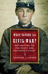 What Caused the Civil War?: Reflections on the South and Southern History - Edward L. Ayers