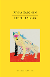 Little Labors -  Rivka Galchen