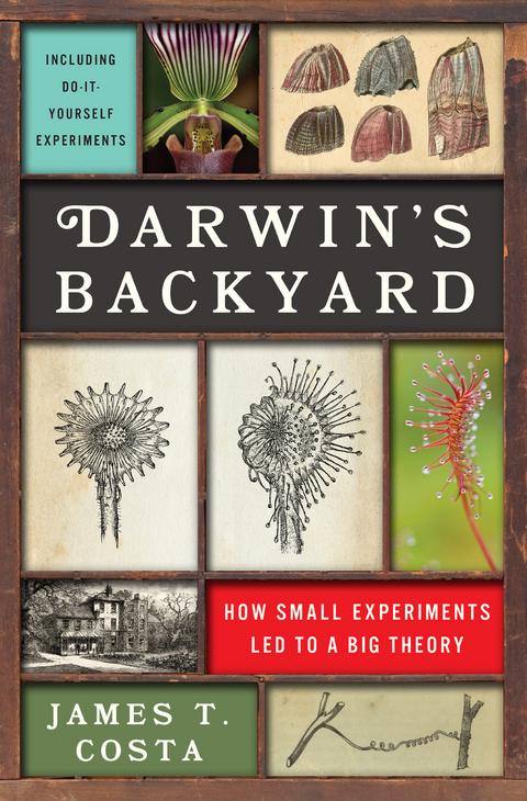 Darwin's Backyard: How Small Experiments Led to a Big Theory - James T. Costa