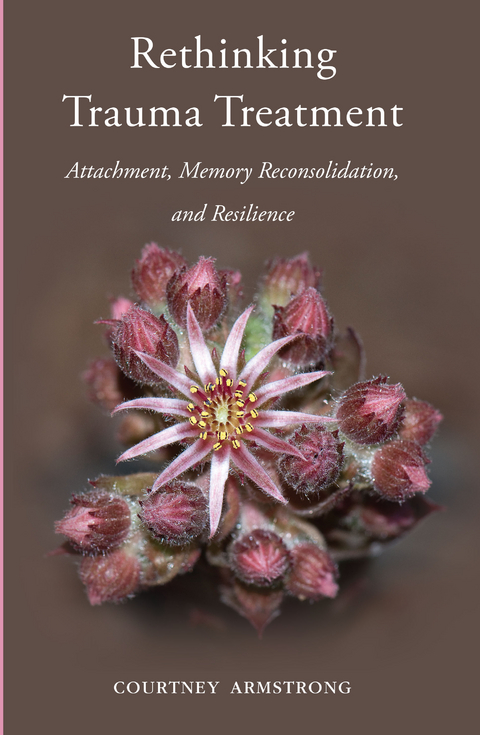 Rethinking Trauma Treatment: Attachment, Memory Reconsolidation, and Resilience - Courtney Armstrong