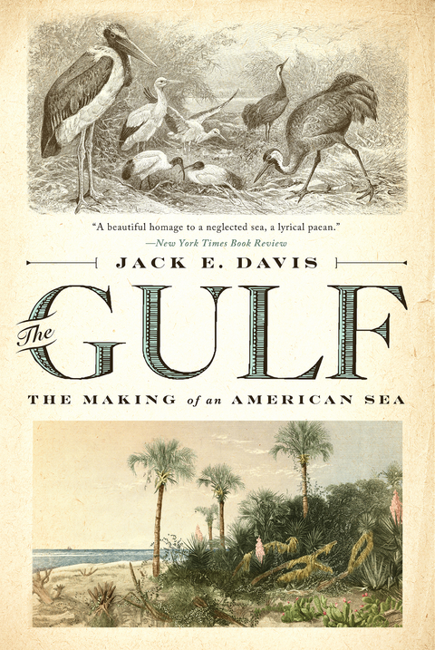 The Gulf: The Making of An American Sea - Jack E. Davis