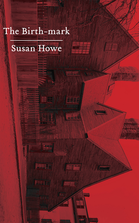 The Birth-mark: Essays - Susan Howe