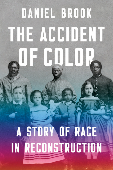 Accident of Color -  Daniel Brook