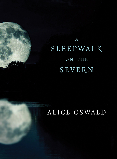 Sleepwalk on the Severn -  Alice Oswald
