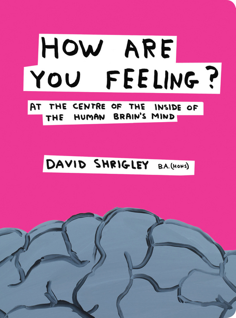 How Are You Feeling?: At the Centre of the Inside of the Human Brain - David Shrigley