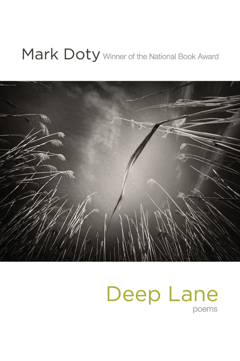 Deep Lane: Poems - Mark Doty