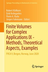 Finite Volumes for Complex Applications IX - Methods, Theoretical Aspects, Examples - 