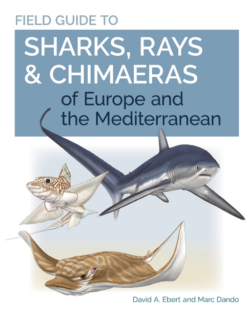 Field Guide to Sharks, Rays & Chimaeras of Europe and the Mediterranean - David A. Ebert, Marc Dando