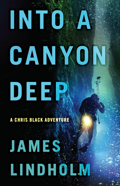 Into a Canyon Deep - James Lindholm