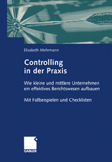 Controlling in der Praxis - Elisabeth Mehrmann