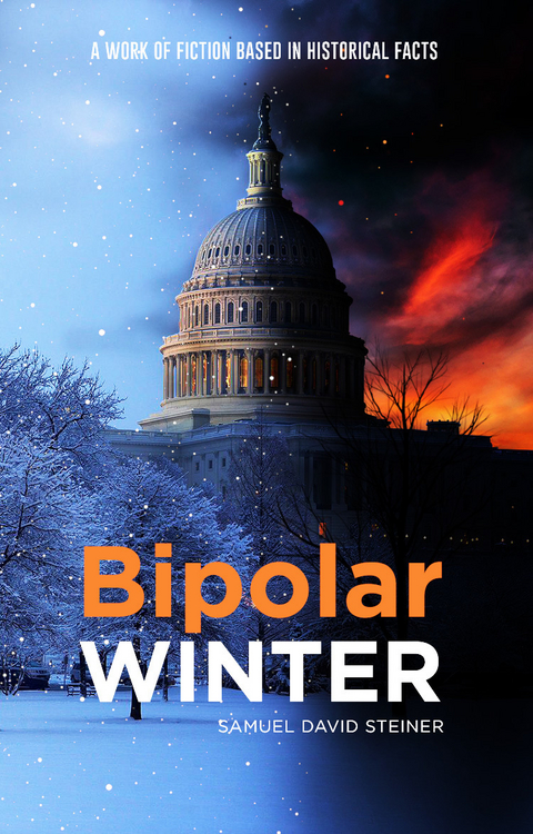 Bipolar WINTER - Samuel David Steiner