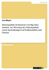 Datenqualität im Kontext von Big Data. Ansätze zur Messung der Datenqualität sowie Auswirkungen auf Funktionalität und Nutzen - Lisa Meyer