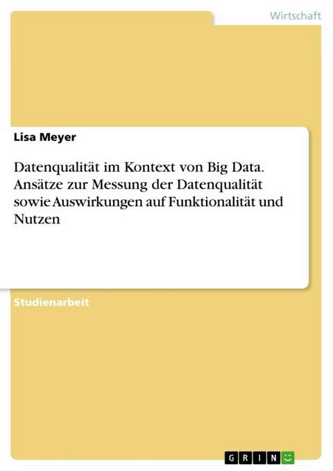 Datenqualität im Kontext von Big Data. Ansätze zur Messung der Datenqualität sowie Auswirkungen auf Funktionalität und Nutzen - Lisa Meyer