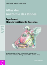 Atlas der Anatomie des Rindes - Klaus D Budras, Silke Buda