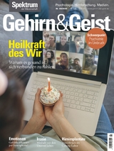 Gehirn&Geist 8/2020 Die Heilkraft des Wir