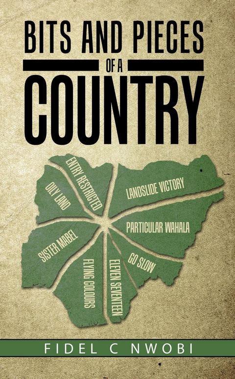 Bits and Pieces of a Country -  Fidel C Nwobi