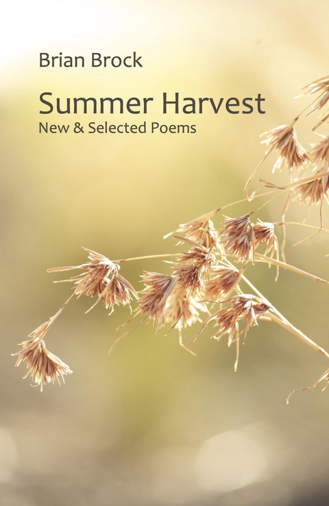 Summer Harvest -  Brian Brock