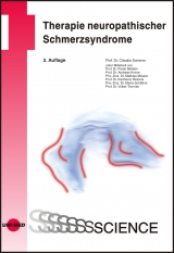 Therapie neuropathischer Schmerzsyndrome - Sommer, Claudia