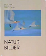 Natur-Bilder - Klaus Nigge