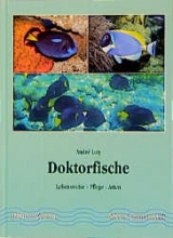 Doktorfische - André Luty