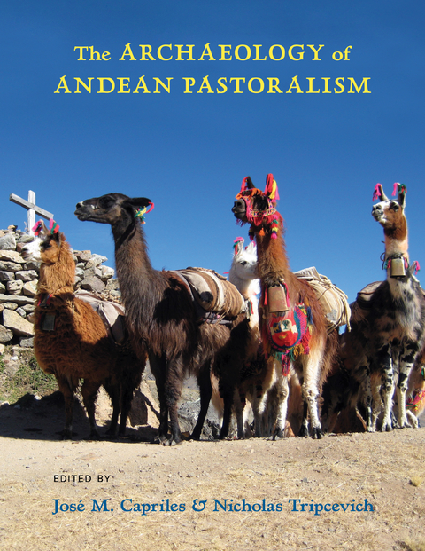 The Archaeology of Andean Pastoralism - 