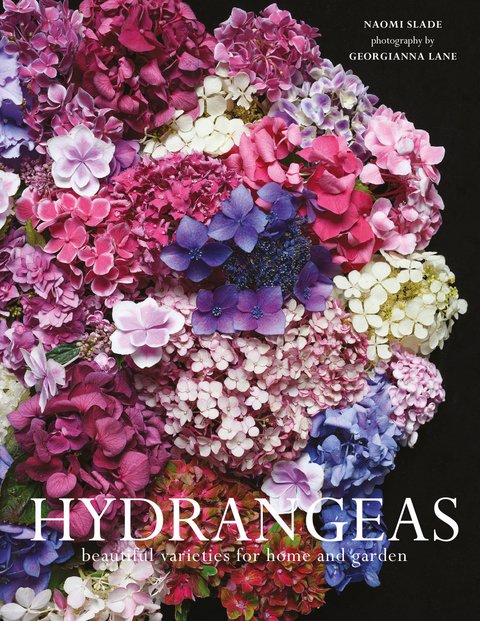 Hydrangeas -  NAOMI SLADE