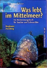 Was lebt im Mittelmeer? - Matthias Bergbauer, Bernd Humberg