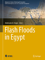 Flash Floods in Egypt - 