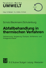 Abfallbehandlung in thermischen Verfahren - Reinhard Scholz, Michael Beckmann, Frank Schulenburg