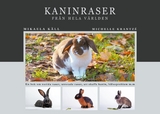 Kaninraser från hela världen - Mikaela Käll, Michelle Krantzé