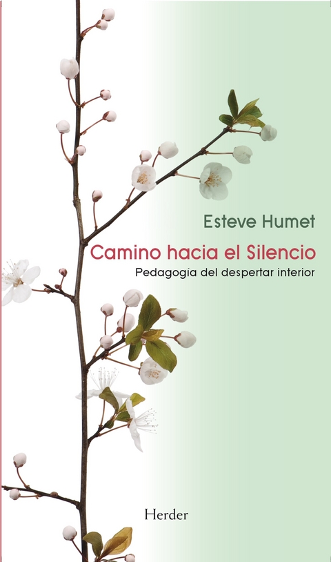 Camino hacia el Silencio - Esteve Humet